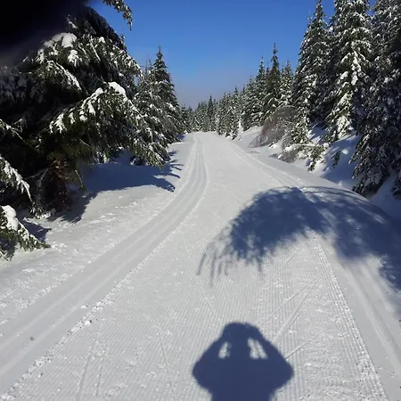 Na Slunecni Pohadkova Chaloupka Ve Sladke Dire * Prichovice (Liberec)